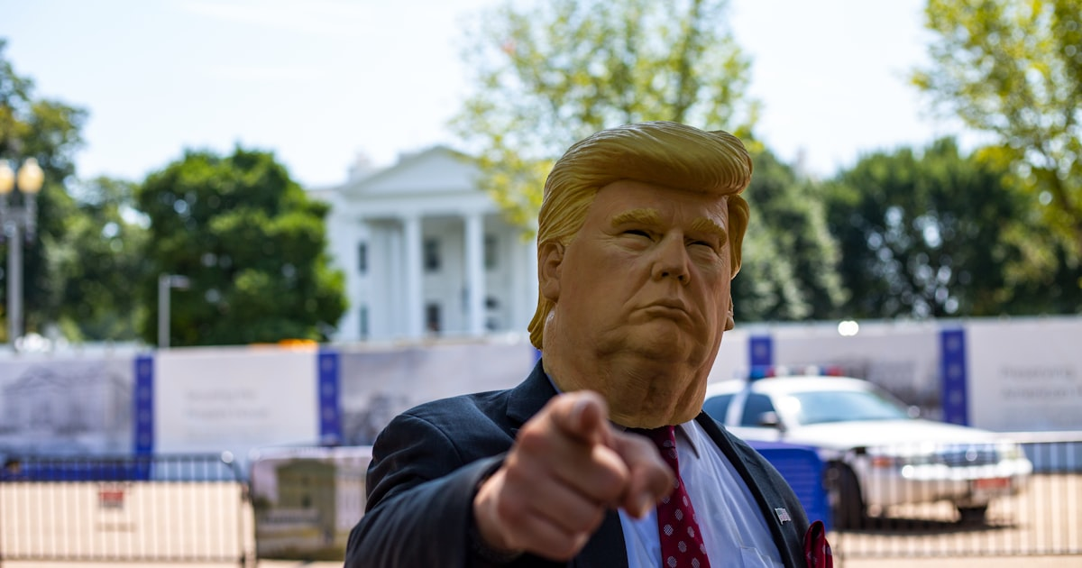 Roles of the President and Vice President